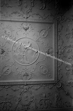 KILSHANNIG HOUSE DRAWING ROOM CEILING